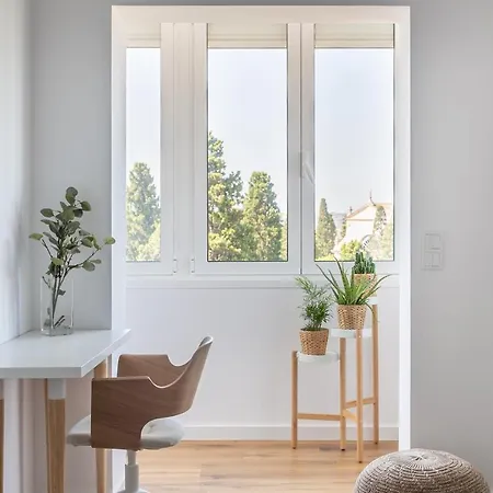 Apartamento Spacious Campo D'ourique By Lisbeyond *